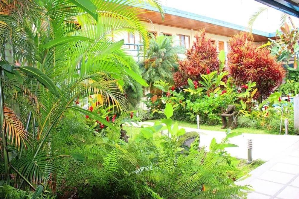 Hotel Ecological Inn San José Exteriér fotografie
